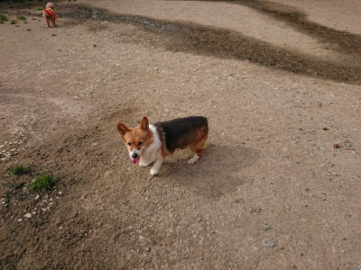 f:id:roukenhome-ann:20190419184953j:plain