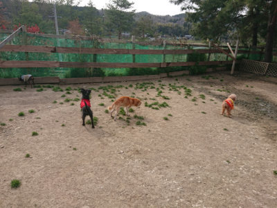 f:id:roukenhome-ann:20190419185001j:plain
