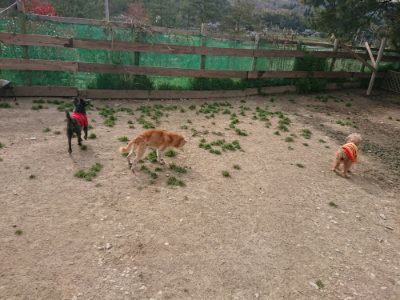f:id:roukenhome-ann:20190419185022j:plain