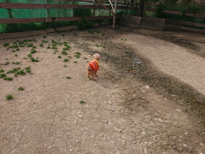 f:id:roukenhome-ann:20190419185032j:plain