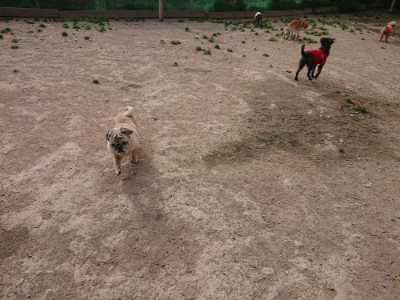 f:id:roukenhome-ann:20190419185042j:plain