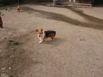 f:id:roukenhome-ann:20190419185109j:plain
