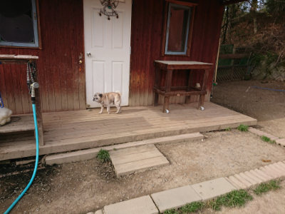 f:id:roukenhome-ann:20190419185130j:plain