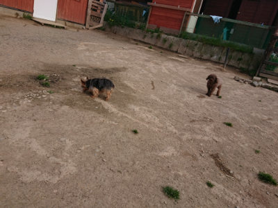 f:id:roukenhome-ann:20190419185148j:plain