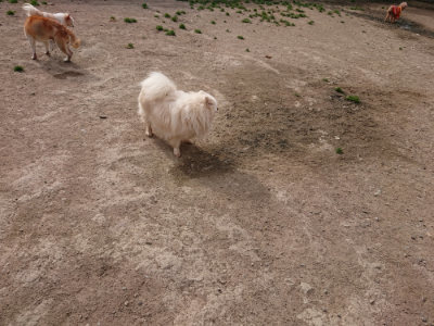 f:id:roukenhome-ann:20190419185201j:plain