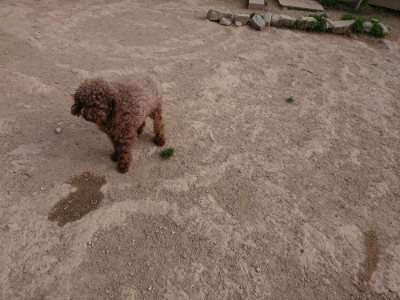 f:id:roukenhome-ann:20190419185220j:plain