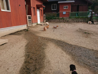 f:id:roukenhome-ann:20190419185250j:plain