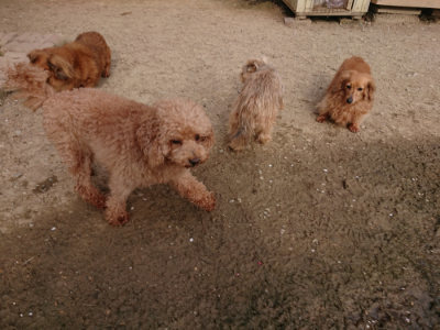 f:id:roukenhome-ann:20190419185639j:plain