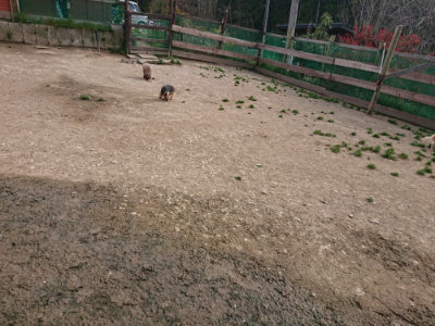 f:id:roukenhome-ann:20190419185652j:plain