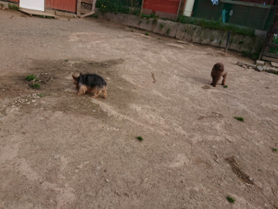 f:id:roukenhome-ann:20190419185709j:plain
