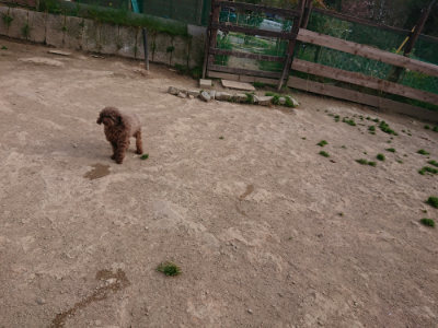 f:id:roukenhome-ann:20190419185741j:plain