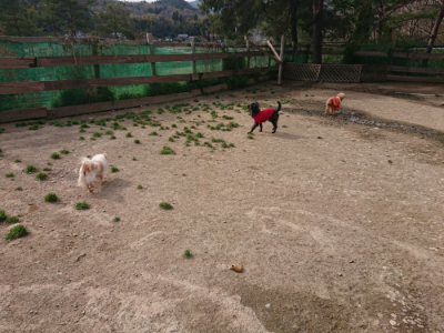 f:id:roukenhome-ann:20190419185746j:plain