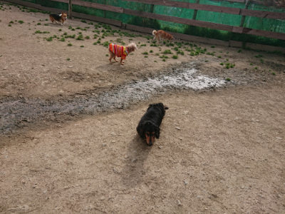 f:id:roukenhome-ann:20190419185800j:plain