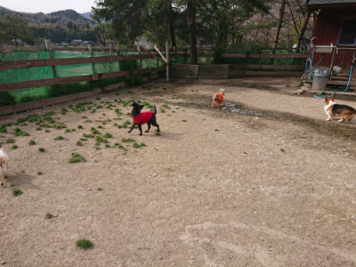 f:id:roukenhome-ann:20190419185818j:plain