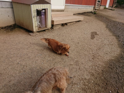 f:id:roukenhome-ann:20190419185937j:plain