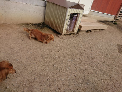 f:id:roukenhome-ann:20190419185947j:plain