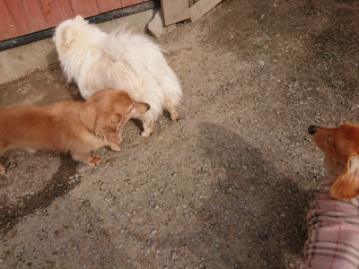 f:id:roukenhome-ann:20190419190003j:plain
