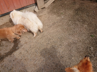 f:id:roukenhome-ann:20190419190028j:plain