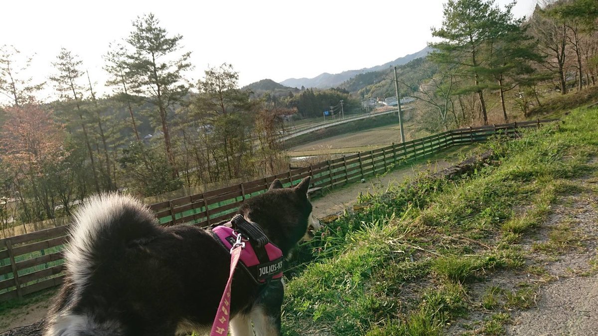 f:id:roukenhome-ann:20190419190452j:plain