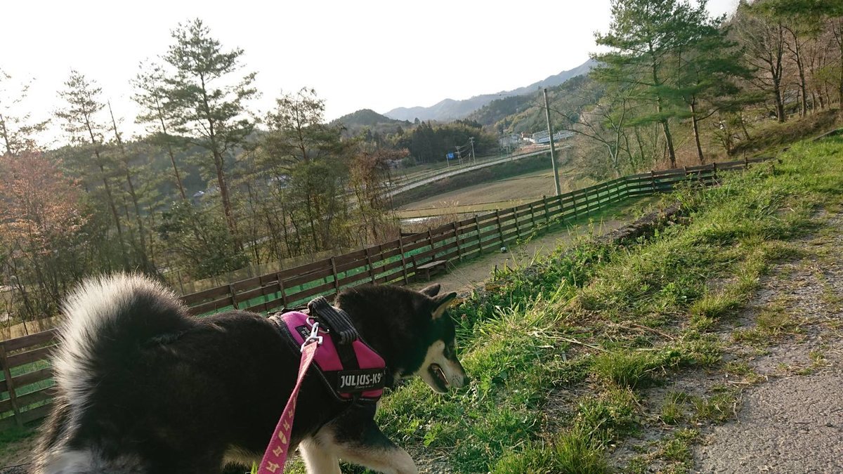 f:id:roukenhome-ann:20190419190459j:plain