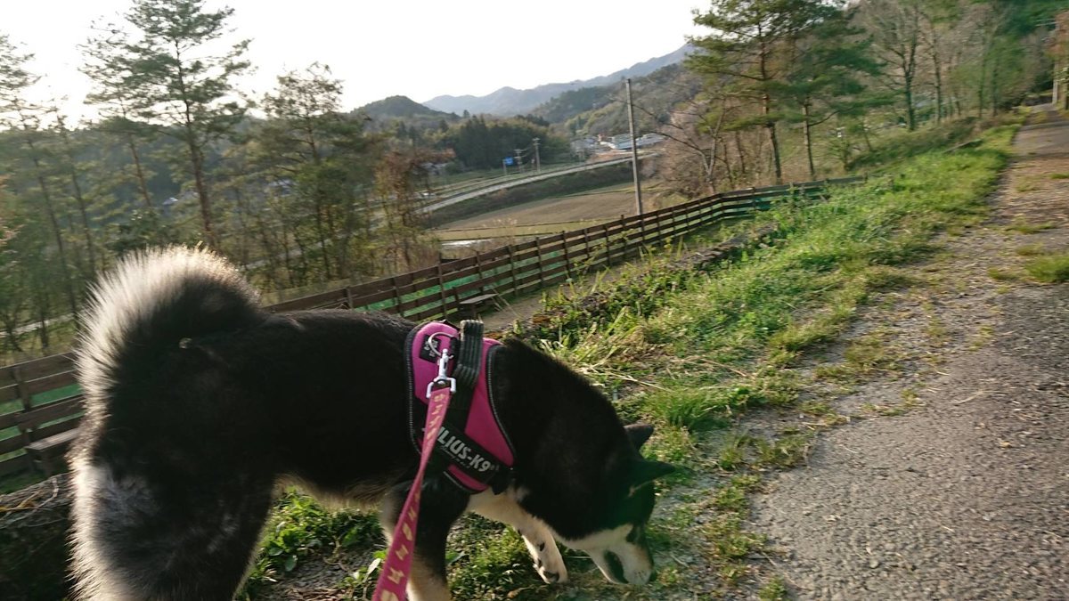 f:id:roukenhome-ann:20190419190506j:plain