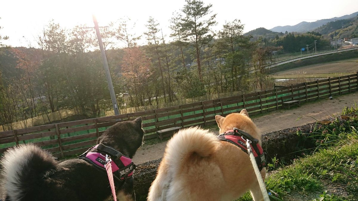 f:id:roukenhome-ann:20190419190522j:plain