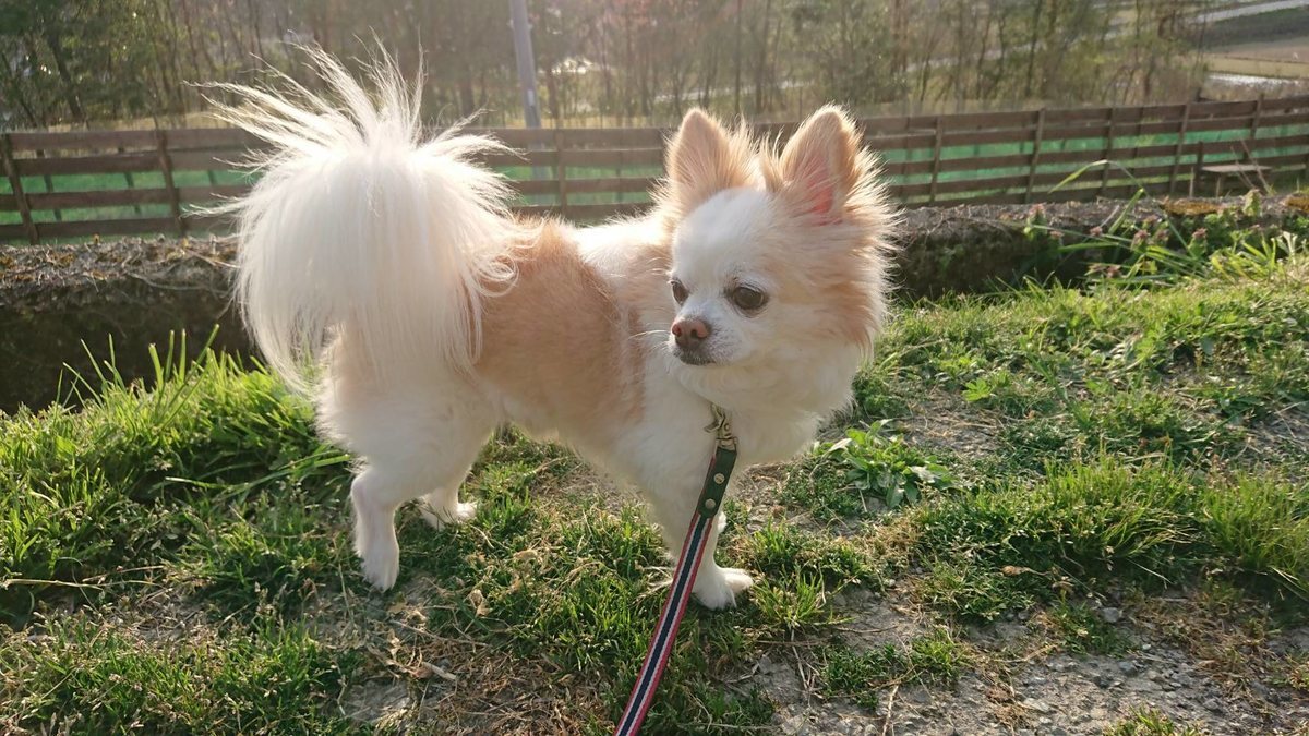 f:id:roukenhome-ann:20190419190551j:plain