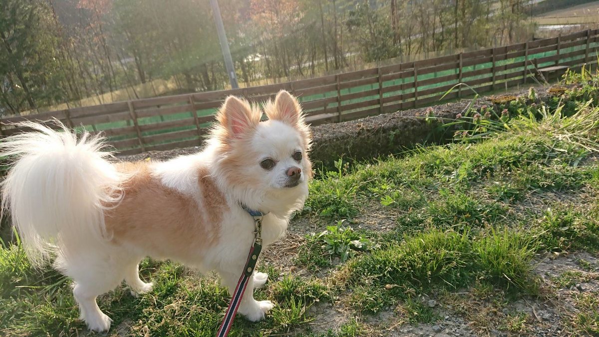 f:id:roukenhome-ann:20190419190603j:plain