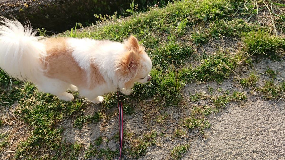 f:id:roukenhome-ann:20190419190612j:plain