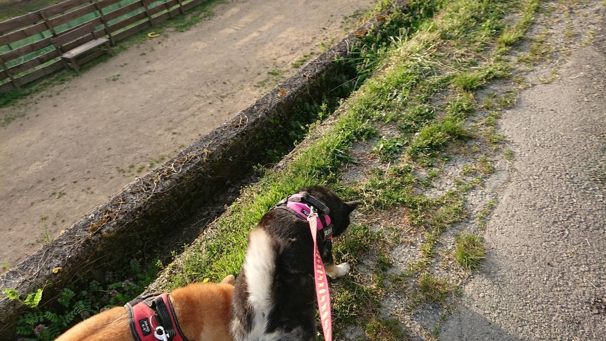f:id:roukenhome-ann:20190419190621j:plain