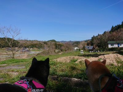 f:id:roukenhome-ann:20190420181046j:plain