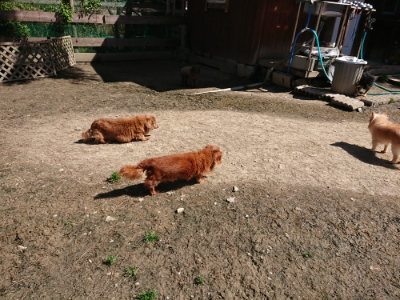 f:id:roukenhome-ann:20190420181101j:plain