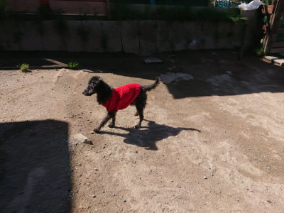 f:id:roukenhome-ann:20190420181119j:plain