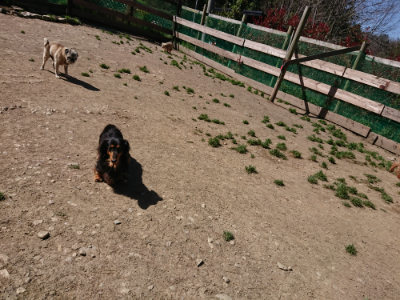 f:id:roukenhome-ann:20190420181126j:plain