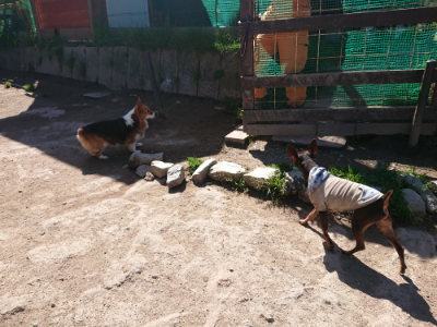 f:id:roukenhome-ann:20190420181217j:plain