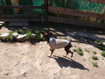 f:id:roukenhome-ann:20190420181230j:plain
