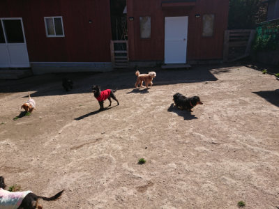 f:id:roukenhome-ann:20190420181253j:plain
