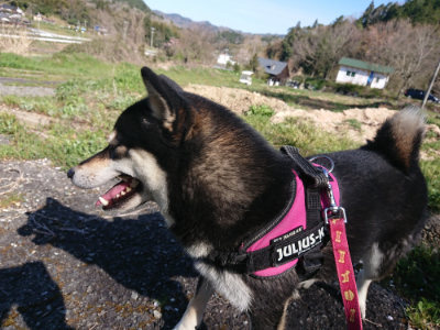 f:id:roukenhome-ann:20190420181312j:plain
