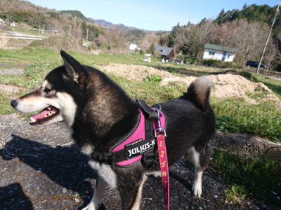 f:id:roukenhome-ann:20190420181329j:plain