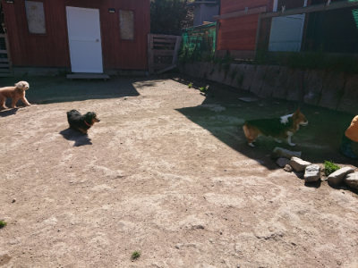 f:id:roukenhome-ann:20190420181334j:plain