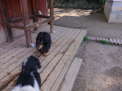 f:id:roukenhome-ann:20190420181346j:plain
