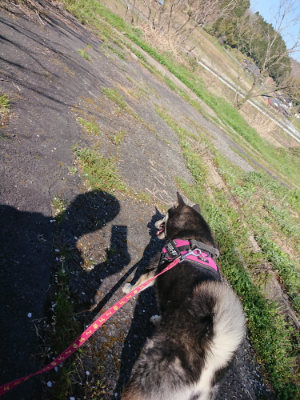 f:id:roukenhome-ann:20190420181414j:plain
