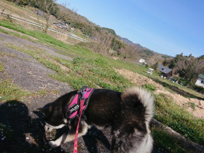 f:id:roukenhome-ann:20190420181420j:plain