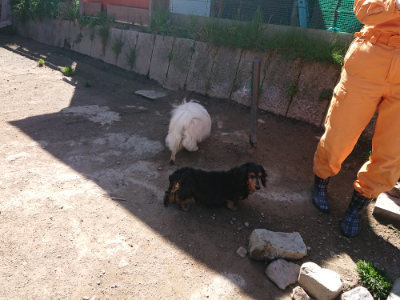 f:id:roukenhome-ann:20190420181427j:plain