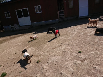 f:id:roukenhome-ann:20190420181443j:plain