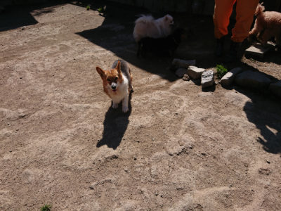 f:id:roukenhome-ann:20190420181520j:plain