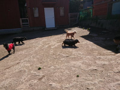 f:id:roukenhome-ann:20190420181540j:plain