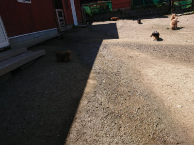 f:id:roukenhome-ann:20190420181553j:plain