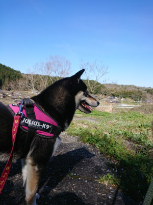 f:id:roukenhome-ann:20190420181558j:plain