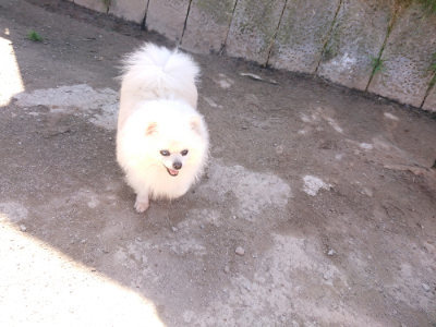 f:id:roukenhome-ann:20190420181603j:plain